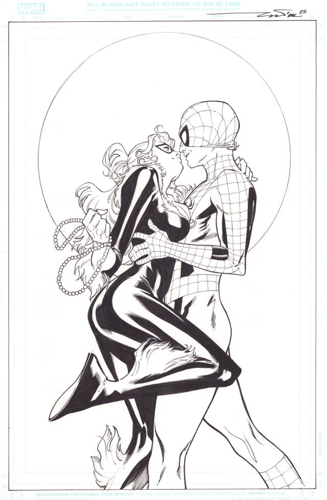 Spider-Man & Black Cat - Marvel Unused Cover, Paco Medina Comic Art